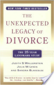 divorce-book-cover